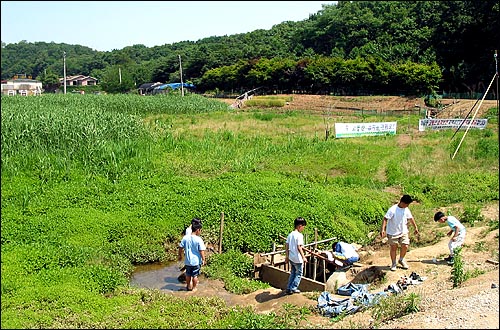 고봉산 습지에서 놀고 있는 인근 초등학교 학생들. 환경단체에 따르면 고봉산 습지에는 보존 가치가 있는 60여종의 동식물이 있는 일산 생태의 보고라고 한다. 